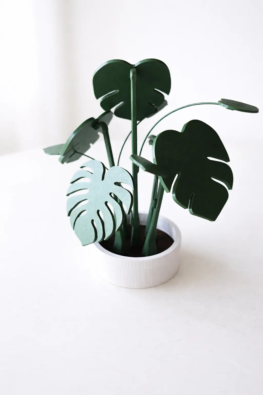 Monstera Coaster Set — Tropical Leaf Coasters with Display Holder | 3D Printed