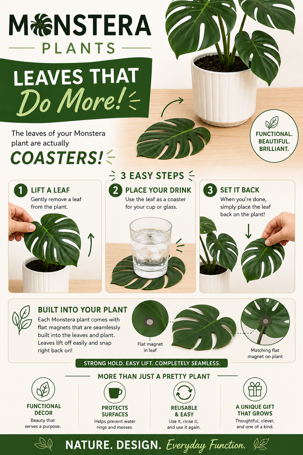 Monstera Coaster Set — Tropical Leaf Coasters with Display Holder | 3D Printed
